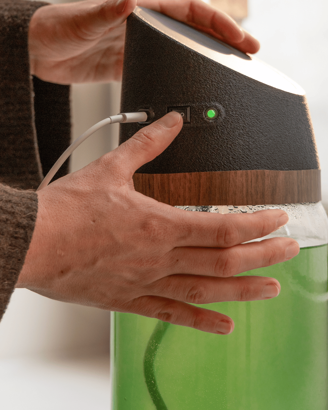 Myspirulina farm - anschalten