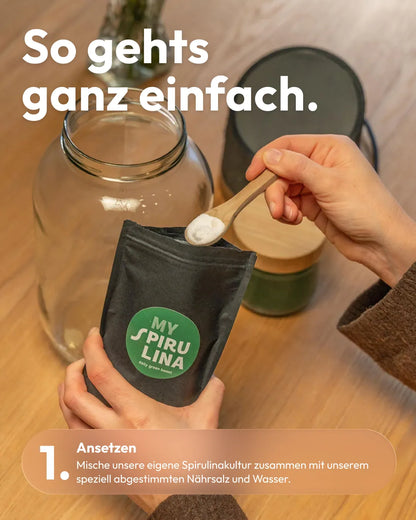 Spirulina Farm für Zuhause – Starter-Kit