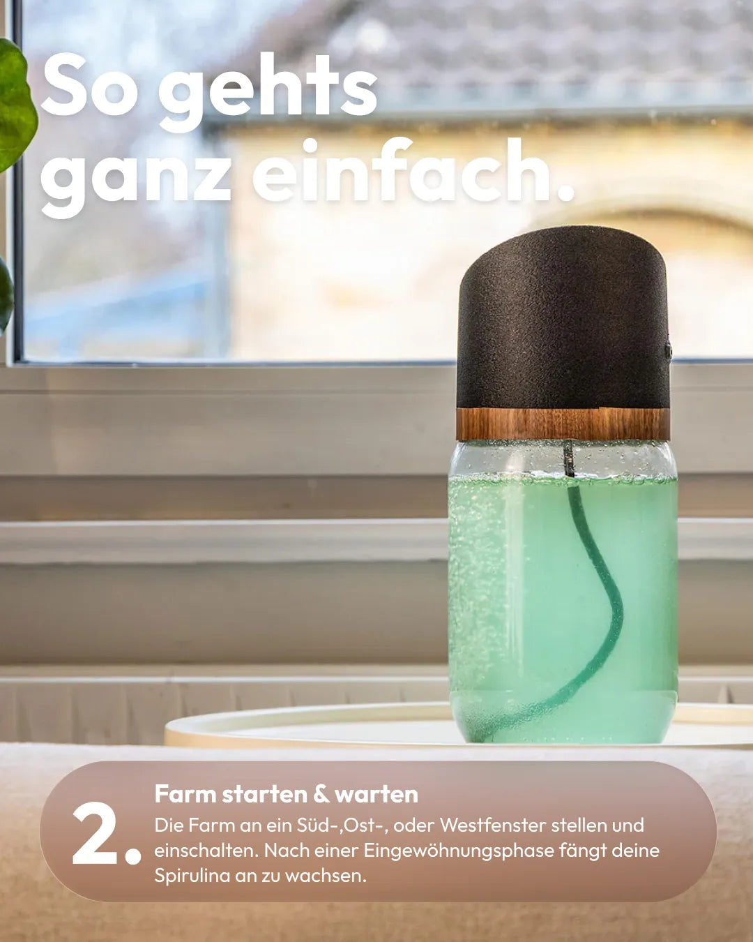 Spirulina Farm für Zuhause – Starter-Kit