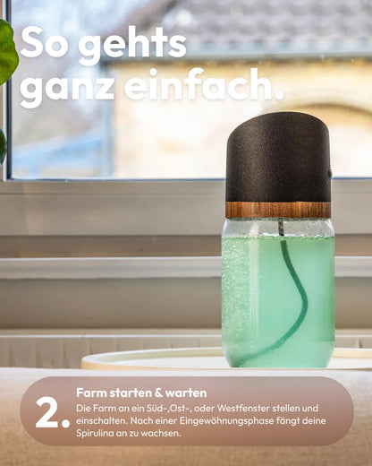 Spirulina Farm für Zuhause – Starter-Kit