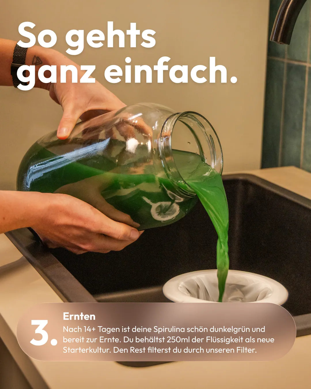 Spirulina Farm für Zuhause – Starter-Kit