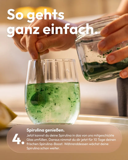 Spirulina Farm für Zuhause – Starter-Kit