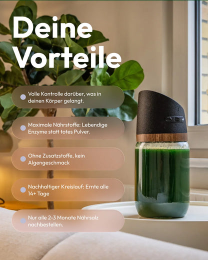 Spirulina Farm für Zuhause – Starter-Kit